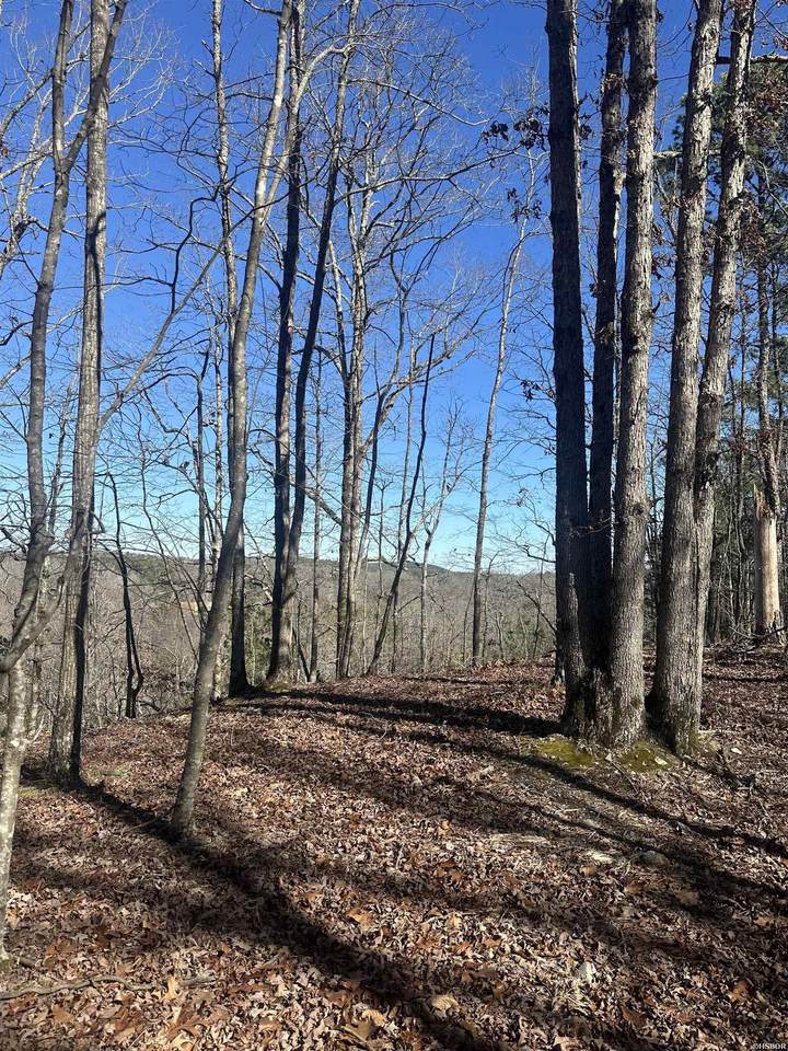 00M Walnut Valley Road - Photo 1