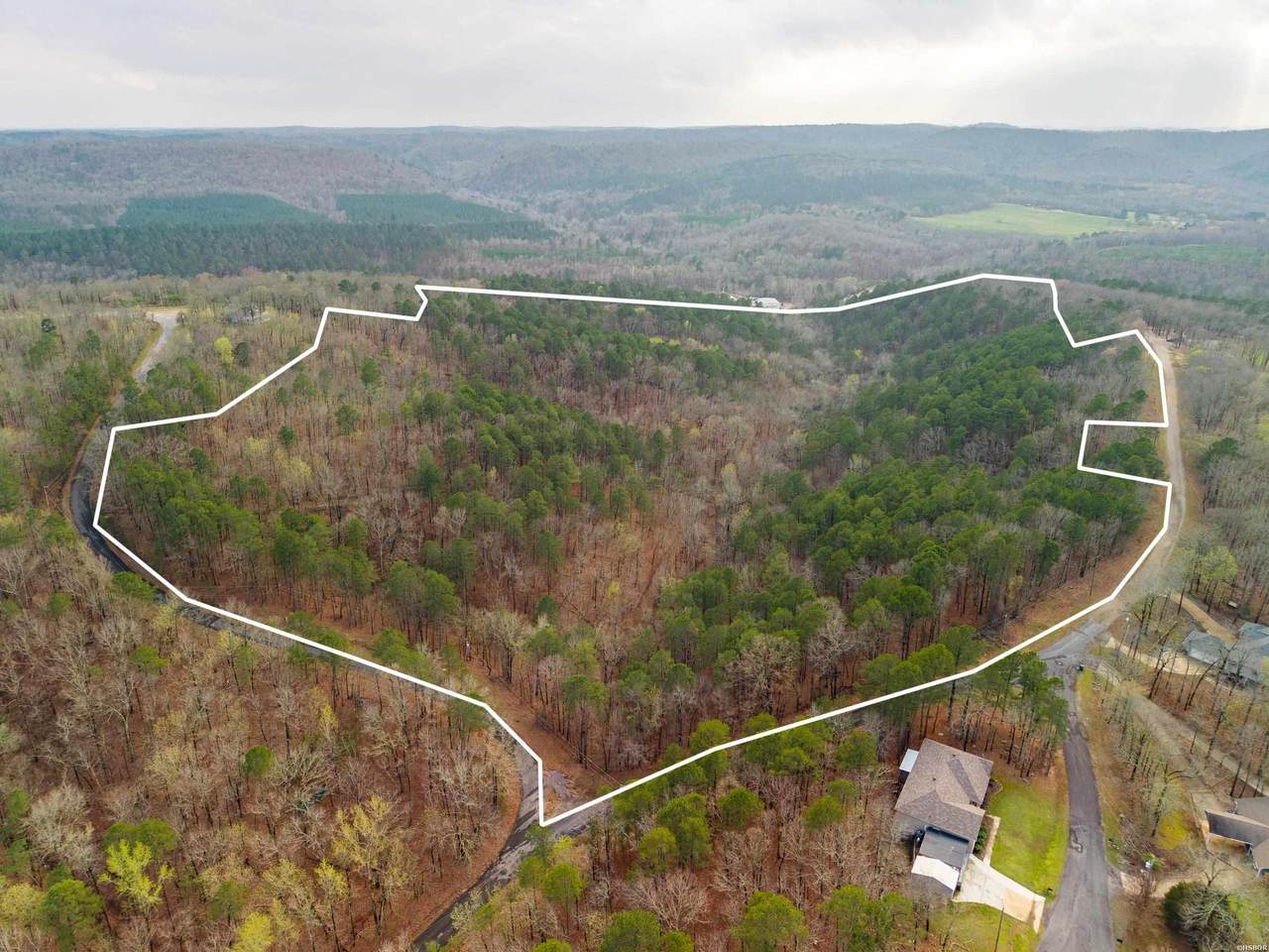 000 Hickory Hill - Photo 1