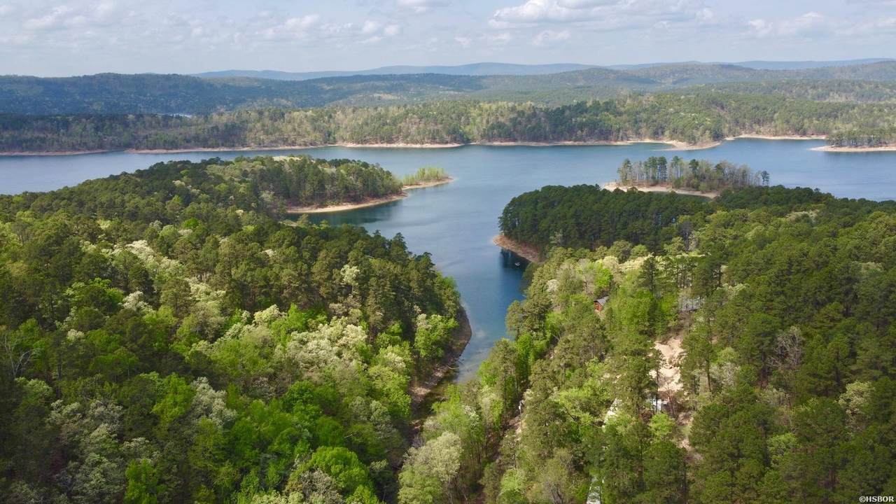 000 Lake Ouachita Trail - Photo 1