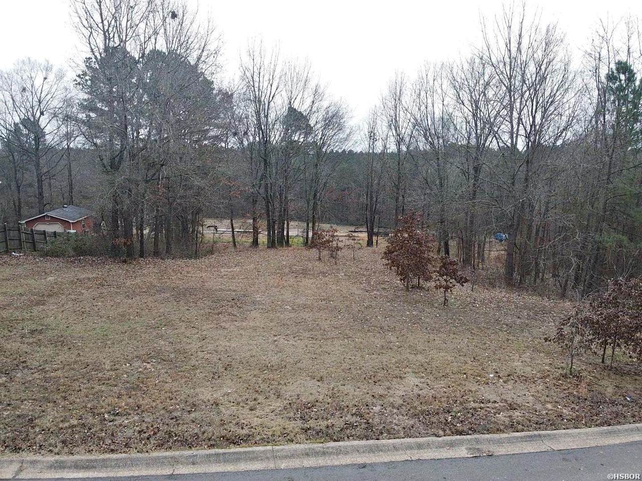 Lot 25 Birch Cove - Photo 1