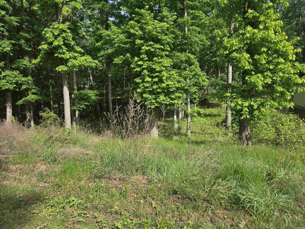 Lot 1397 Stonebriar - Photo 1