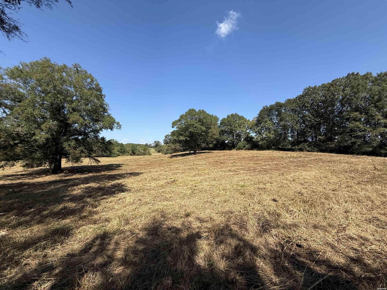 299 Harmony Lane - Photo 1