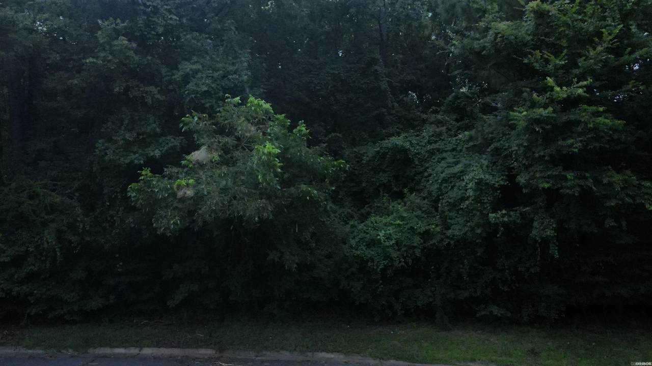 TBD North Park Drive - Photo 1