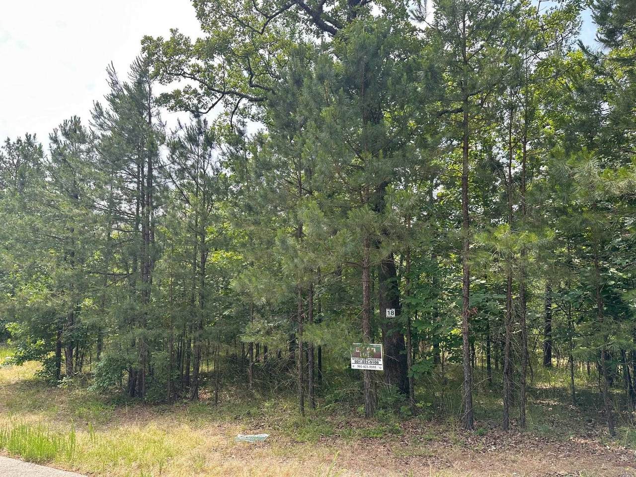 232 Dellmere Drive - Photo 1
