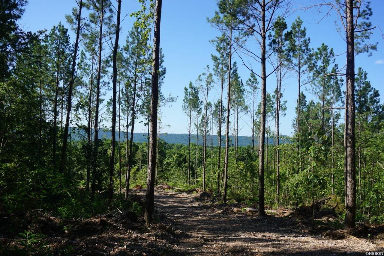 XXX Palmer Mountain Road - Photo 1