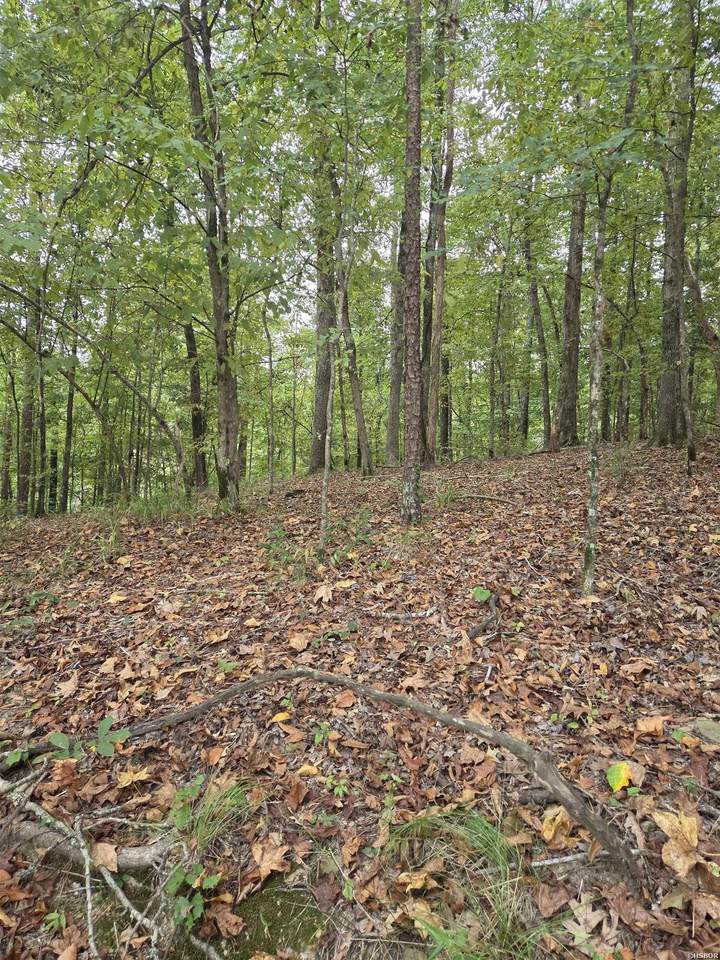 21 Springbrook - Photo 1