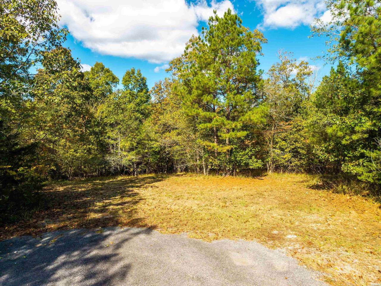 TBD Dove Place - Photo 1