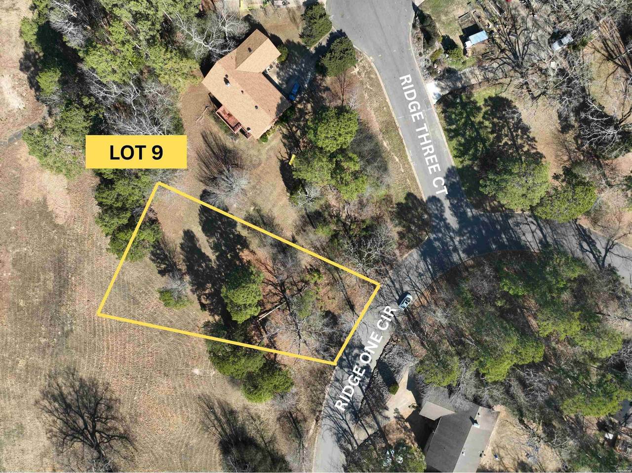 Lot 9 Ridge One Circle - Photo 1