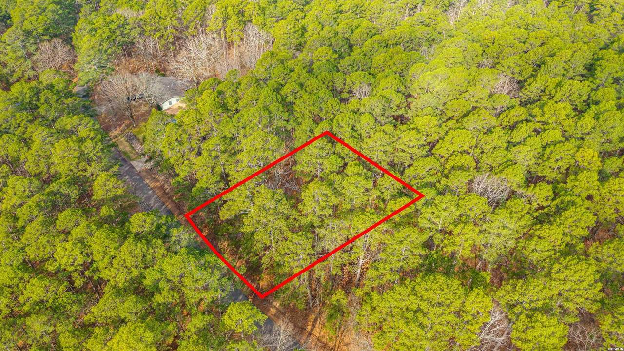 XX Pyrenees Way - Photo 1