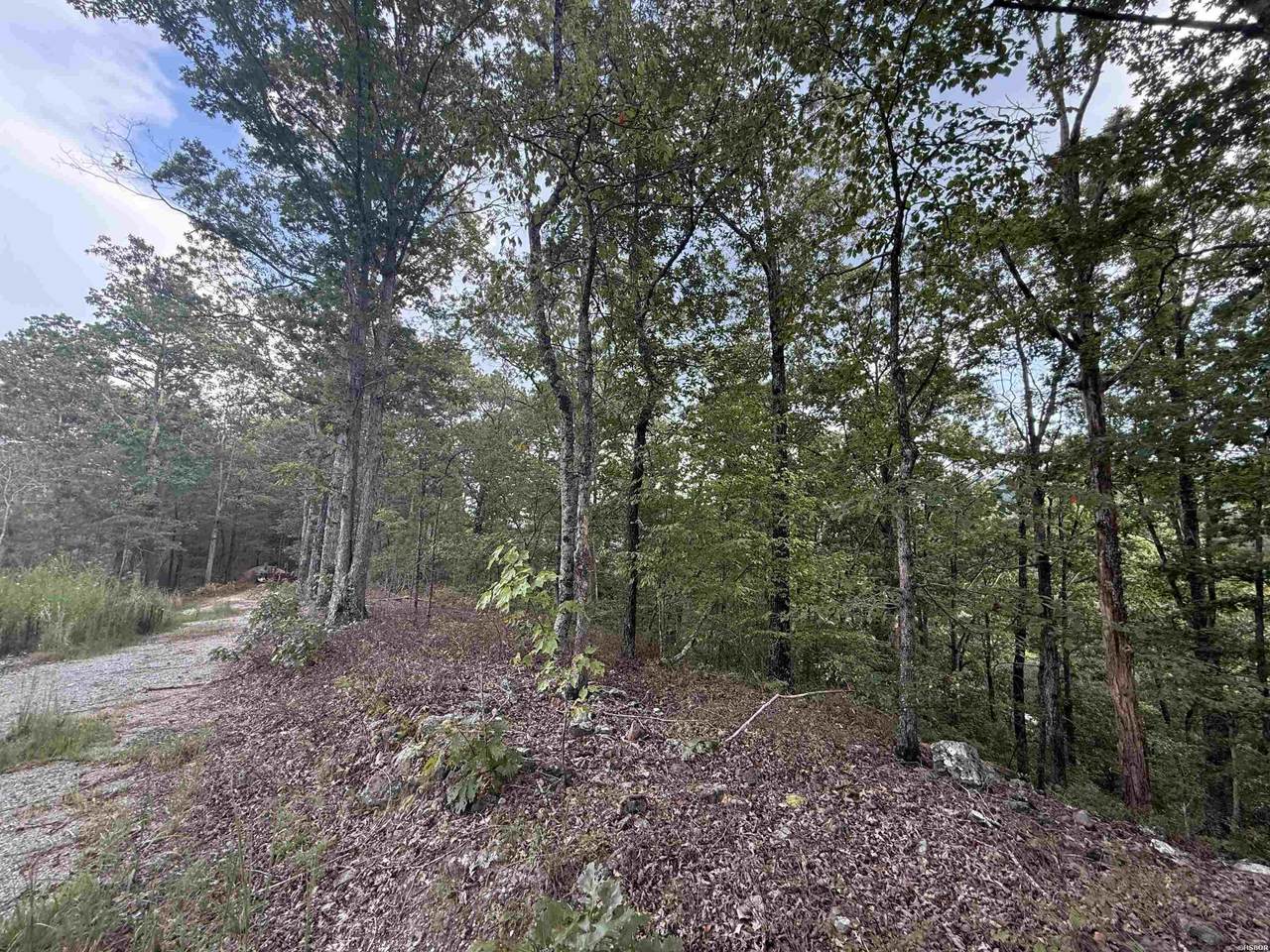 321 Plata Hollow - Photo 1