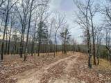 000 Shorthorn Lane - Photo 9
