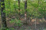 Lot 54 and 55 Tall Hickory Road - Photo 9