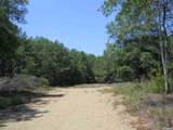 TBD Gabor Lane - Photo 1