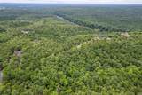 Lot 12 Eagles Nest Lane - Photo 13