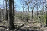 XXX Triple River Road - Photo 10
