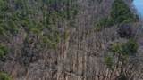 XXX Triple River Road - Photo 3