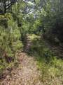 TBD Pedante Lane - Photo 8