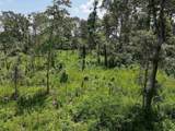 TBD Kadoha Road - Photo 11