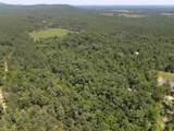 0000 Chicot Trail - Photo 7