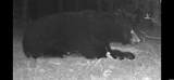 00 Chicot Trail - Photo 10