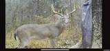 00 Chicot Trail - Photo 11