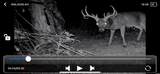 00 Chicot Trail - Photo 12