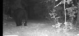 00 Chicot Trail - Photo 9