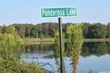 0000 Ponderosa Trail - Photo 14