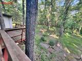 199 Bert Dickey Road - Photo 19