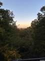 318 Trap Mountain Road - Photo 14