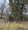 TBD Promise Land Drive - Photo 14