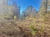930 Cox Creek - Photo 13