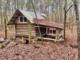 930 Cox Creek - Photo 21