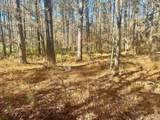 930 Cox Creek - Photo 6