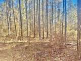 930 Cox Creek - Photo 7