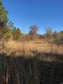 tbd Hwy 301 - Photo 7