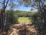 360 Hwy 27 - Photo 27