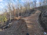 Lot 7,8,9 Turkey Trail - Photo 2