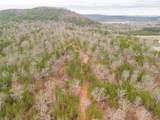 3061 Hwy 7 - Photo 14