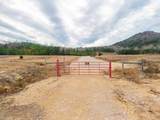 3061 Hwy 7 - Photo 3