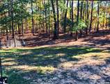 450 Plum Hollow Boulevard - Photo 11
