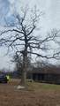 318 Dallas Rd 223 - Photo 3