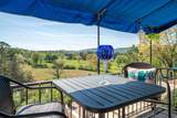 501 Belvedere Drive - Photo 4