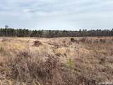 000 Red Springs Road - Photo 6