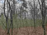 9 lots Pirate Drive - Photo 10