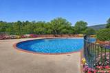 575 Belvedere Drive - Photo 2