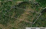 Lot B Millcreek Road - Photo 1