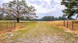 222 Files Road - Photo 4