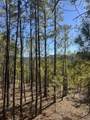 00M Walnut Valley Road - Photo 2