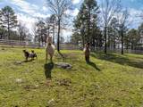 105 Pinnacle Court - Photo 11